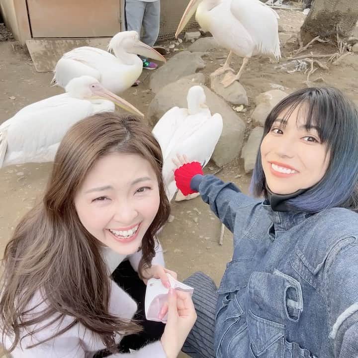 福良真莉果のインスタグラム