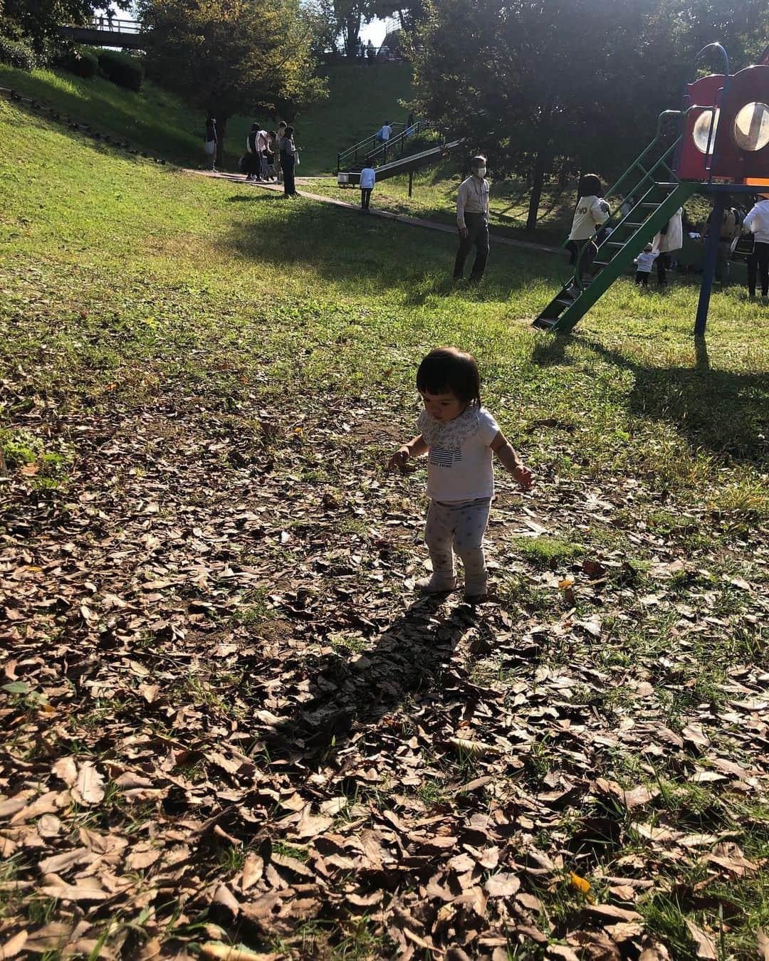 中野美奈子さんのインスタグラム写真 - (中野美奈子Instagram)「お天気に誘われて讃岐まんのう公園へ。  知らずに行ったら入園無料の日！！駐車場まで大渋滞でお腹空いた一歳がギャン泣き……こちらも泣きたい（涙）  なんとか入れて、遊びに遊んで今日も疲れ果てました。 日中は暑いくらいで水遊びする子どもたちも！！  コスモス満開で秋晴れのまんのう公園日和でした。  皆さまお疲れ様でした。 もう寝ます  おやすみなさい💤  #讃岐まんのう公園  #無料の日だった  #疲れはてた  #目が血走ってます  #秋晴れ #落ちてるお花をくれました #最高の遊び場  #中野美奈子」10月23日 20時43分 - minako_nakano.official