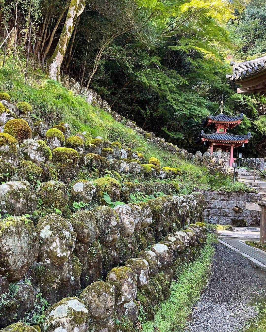 小椚ちはるのインスタグラム：「Kyoto🎋⛩🍁」