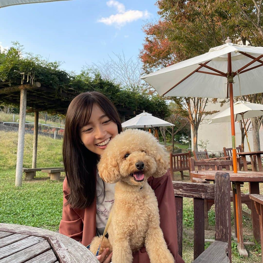 間瀬遥花さんのインスタグラム写真 - (間瀬遥花Instagram)「. . 久しぶりに家族全員そろった日 . にしても、君やっぱりデカプーだね . . . #秋 #お散歩 #お散歩日和 #おさんぽ #トイプードル #トイプー #デカプー #おでかけ #ドライブ #木曽三川公園」10月24日 18時46分 - maseharu_929