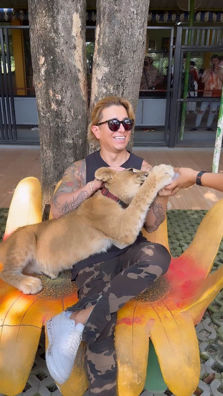 𝐂𝐇𝐈𝐊𝐀𝐑𝐀𝐏𝐚𝐫𝐭𝐲𝐊𝐢𝐧𝐠のインスタグラム：「ライオンが1番好き🦁  #タイ  #サファリパーク  #thailand」