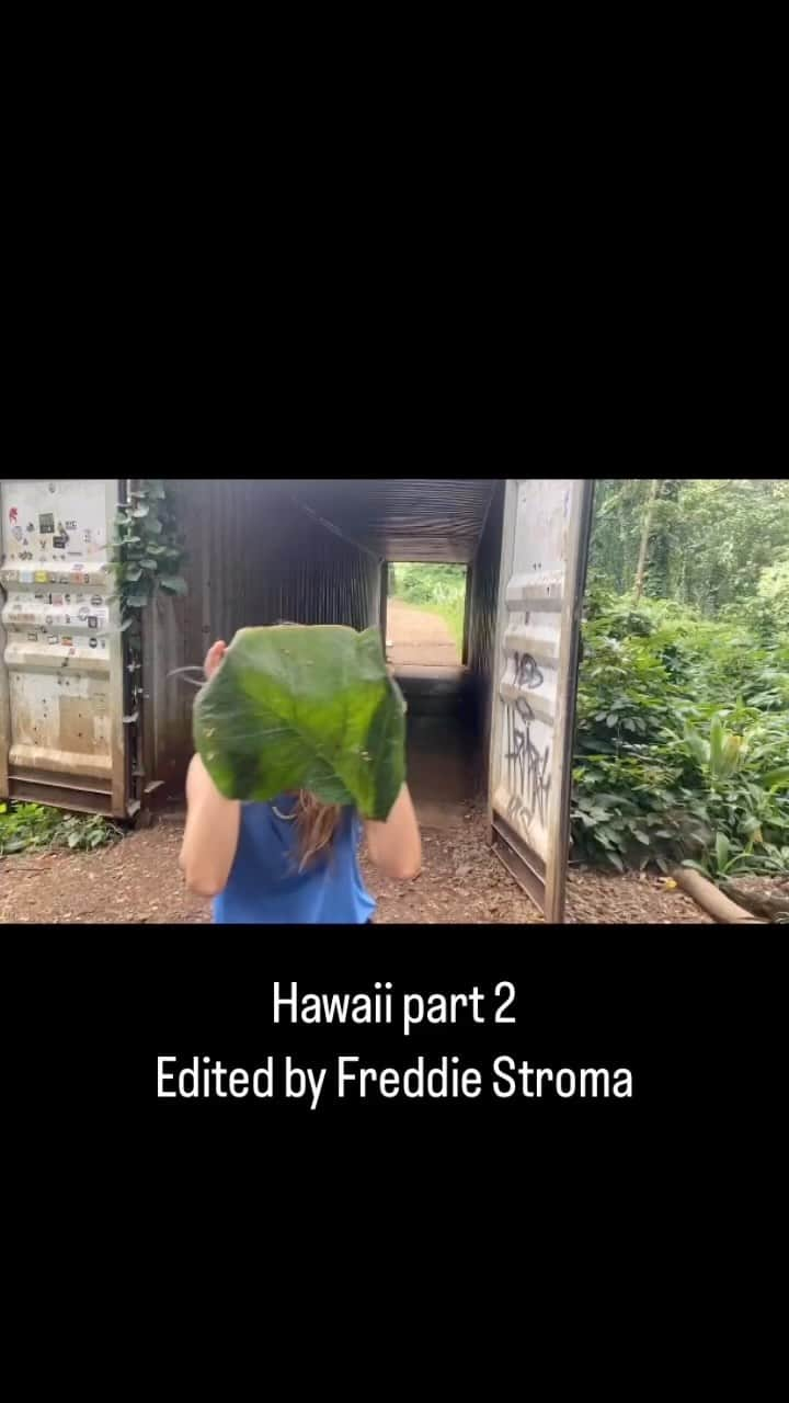 ジョアンナ・ブラッディのインスタグラム：「Hawaii part 2 by Freddie Stroma  . . . . #hawaii #oahu #honolulu #travel #traveltheworld #travelblogger #adventure #love」