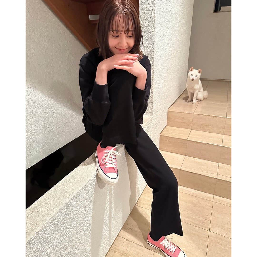 トリンドル玲奈さんのインスタグラム写真 - (トリンドル玲奈Instagram)「新しい @converse_addict08 を履いたので写真を撮っていたら、全部の写真に春が写ってました🐕💕  きゅん!」10月25日 22時44分 - toritori0123