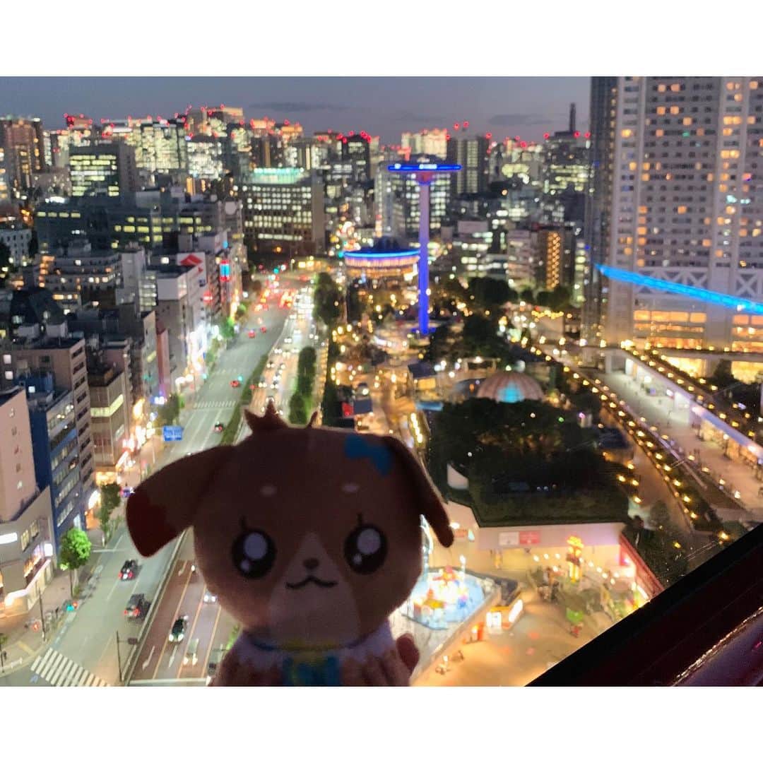 日岡なつみさんのインスタグラム写真 - (日岡なつみInstagram)「🎢🎠💕  続き！ だんだん日が暮れてきて、最後に観覧車に乗ったよ🎡😊  みんなの声聴きながら見る東京の夜景エモかったな〜！ パムの背中の哀愁。。。  #デパプリ #precure #デリシャスパーティプリキュア #東京ドームシティ」10月25日 23時07分 - hiokanatsumi