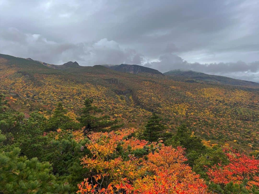 大塚美優のインスタグラム：「福島県　安達太良山⛰ 紅葉🍁  Fukushima Yamagatg #紅葉#福島県#安達太良山#安達太良山ロープウェイ #高畠ワイナリー#山形県#アーカイブ」