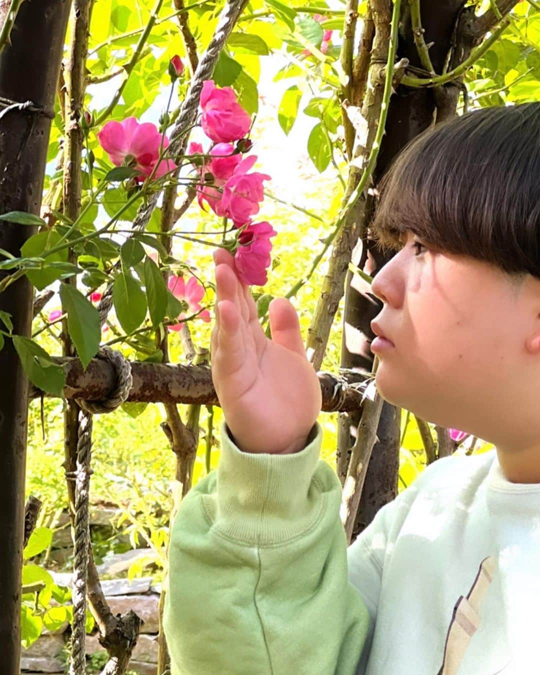 こう（夜のひと笑い）のインスタグラム：「花ってなんでこんな儚く美しいんやろ あっごめん俺結構感性豊かで、花とか枯れてるのとか見たら泣いてしまったりするねん。 前もコンクリートから頑張って顔を出してる一輪のタンポポを見て、勇気づけられたりした。なんであんな健気な表情できるんやろ花って。」