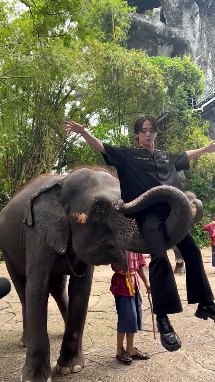 日髙竜太のインスタグラム：「先日撮影でタイの動物園に行ってきました✨  タイに行ったらやってみたかったことの1つ  "ゾウさんに乗る"  乗ったということで大丈夫ですよねこれも😂✨？  #thailand #ballistikboyz #BBZxPCFwithLoveTH」