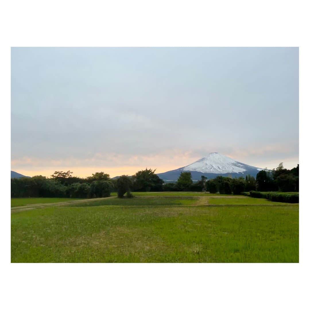 岡副麻希さんのインスタグラム写真 - (岡副麻希Instagram)「. 雪化粧した富士山を横目にランニング😊🏃‍♀️ 私にとってはじめて御殿場で迎える冬。 ⁡ たまたま撮ってた週末の APGからの写真を見返したところ まだ白くないのよ🗻 こうして季節は移り変わるのね🧚🏻‍♀️ ⁡ 三枚目は音量注意！ 上記の全日本カート決勝のスタート動画です ものすごい接近戦🥷🏻（この表現が正しいのか） 動画から伝わるかなあ？🥹 ⁡ ⁡ ⁡ #富士山 #雪化粧 #おなかをすかせるために #おいしい夜ご飯のために #ランニング #御殿場」10月25日 21時29分 - maki_okazoe_official