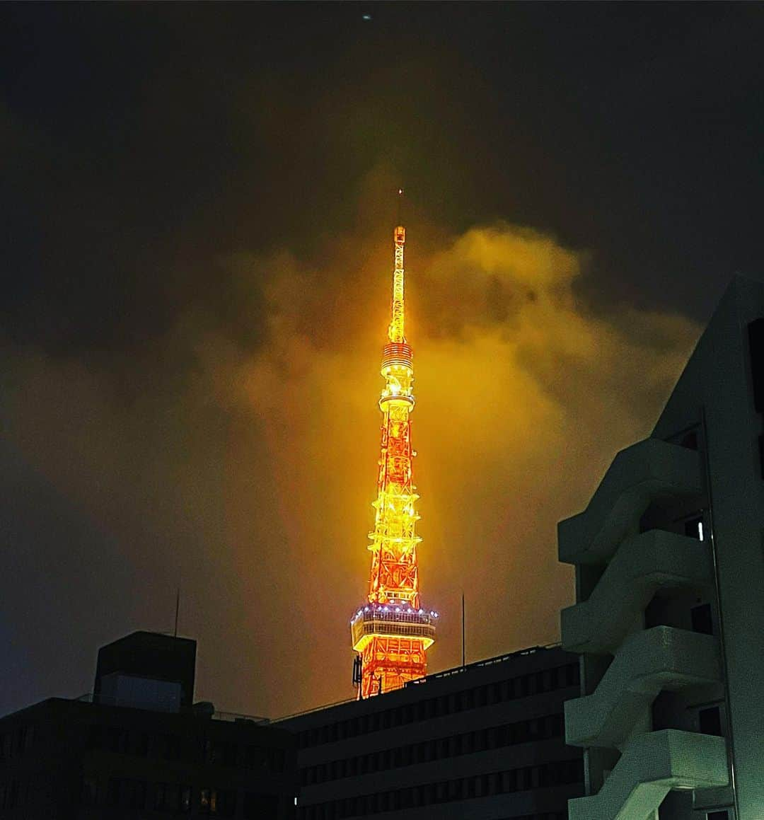 藤井美菜さんのインスタグラム写真 - (藤井美菜Instagram)「. 🗼☔️ #東京タワー#東京#雨 #도쿄타워#도쿄#비오는날 #tokyo#tokyotower#rainy#🗼」10月25日 21時38分 - fujii_mina_0715