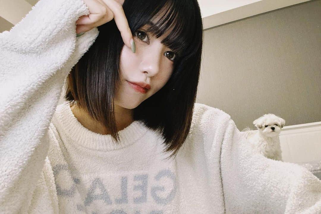土光瑠里子のインスタグラム：「後ろから覗くおこげがいっちゃんかわええ  #わんこ　#自撮り　#japanesegirl」