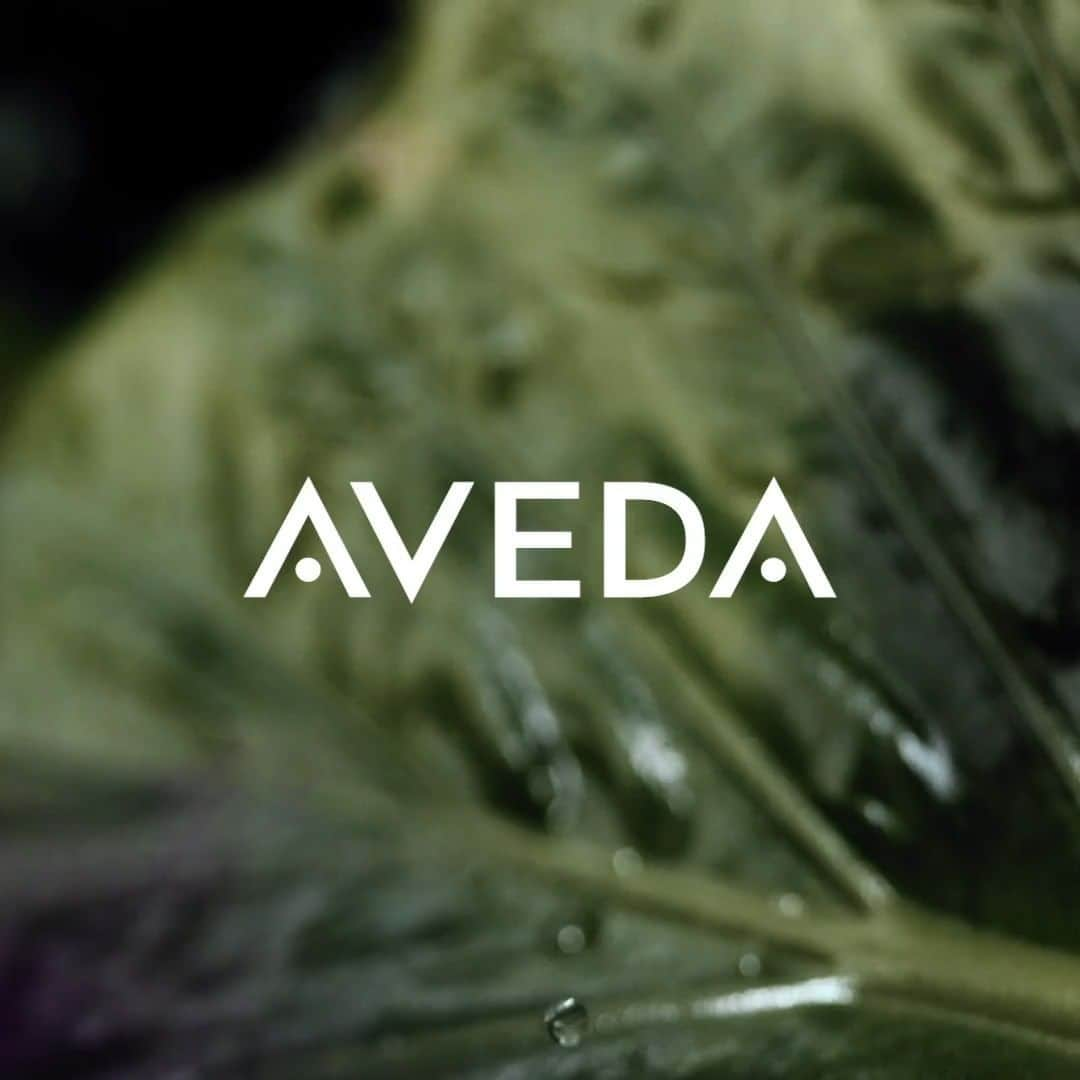 Aveda Japanのインスタグラム