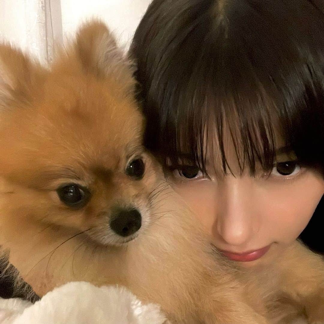 のインスタグラム：「いぬ」