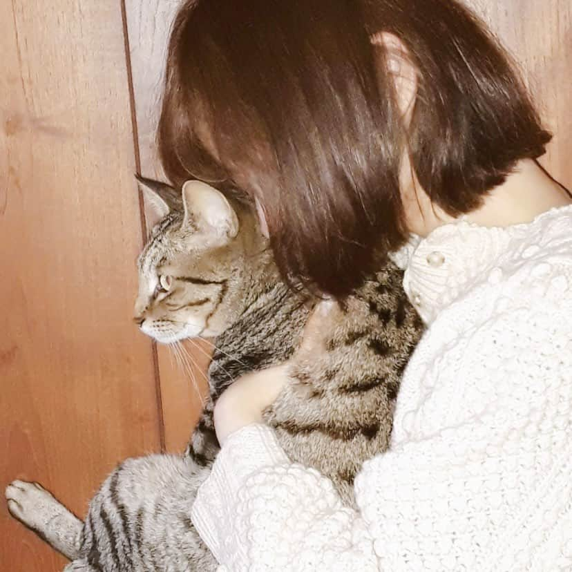 佐藤ちひろさんのインスタグラム写真 - (佐藤ちひろInstagram)「今日27日深夜1:56からは「ぺこぱポジティブNEWS」  今回は、1mmも知らない!「お墓」の最前線🪦 シュウペイさんが超最新“納骨堂"を突撃取材しました！  実家に戻った時しか行けないものだと思っていたお墓参り…  今は樹木葬やダイヤモンド葬など、様々なスタイルがあり、時代によってお墓も変化しているようです。  新しいお墓のスタイルに驚きの連発でした🫢  ※帰省した時の写真です。ねこさんは元気に暮らしています。  #ぺこぱ　#ポジティブ　#ニュース #お墓　#墓　#墓石　#納骨堂　#樹木葬　#ダイヤモンド葬　 #帰省　#ねこ」10月27日 19時25分 - chihiro.sato_ex