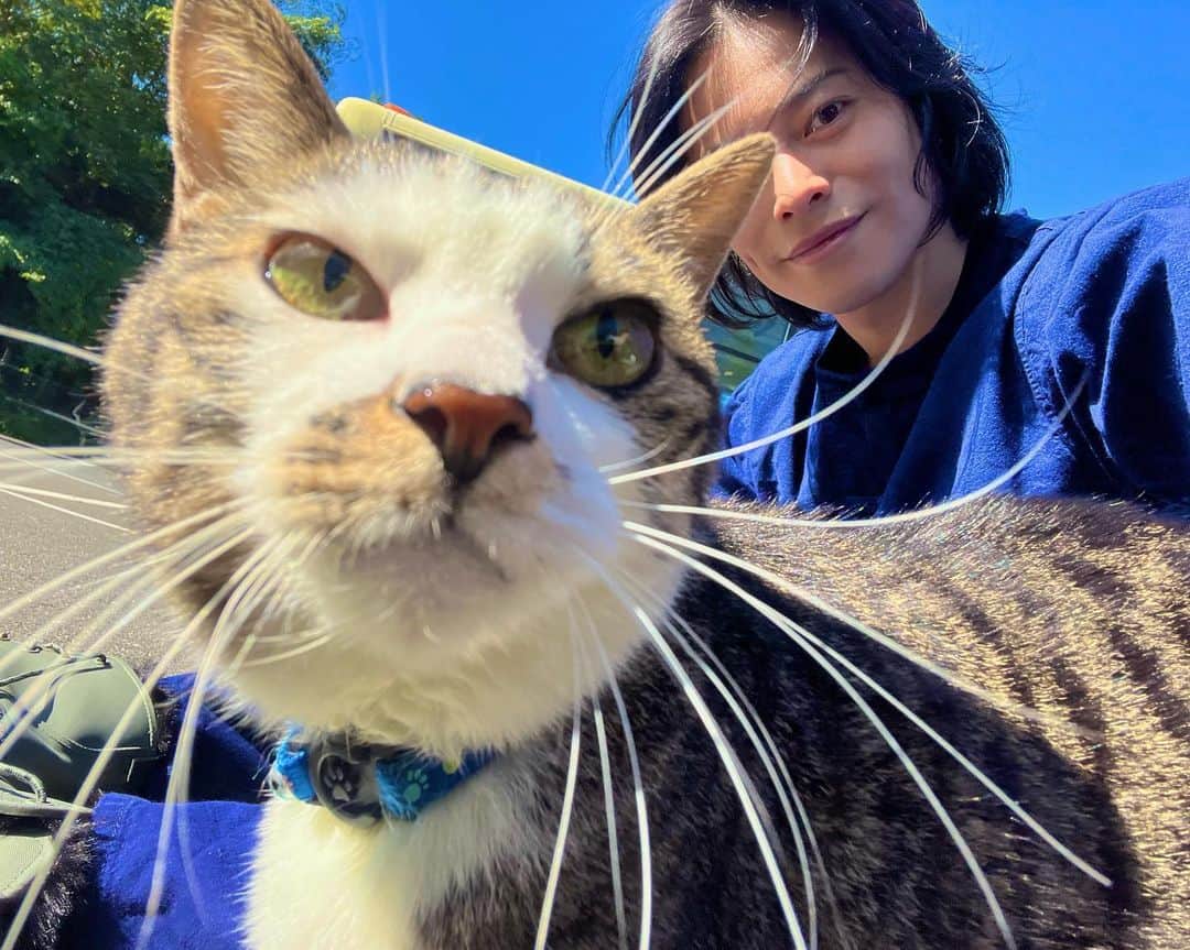 宇野結也さんのインスタグラム写真 - (宇野結也Instagram)「盛れた猫。」10月27日 19時47分 - unoyuya