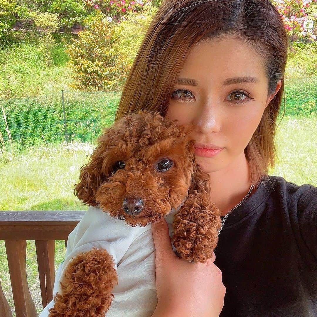 AIRU〔あいる〕のインスタグラム：「いつかのぽぽと🐶」