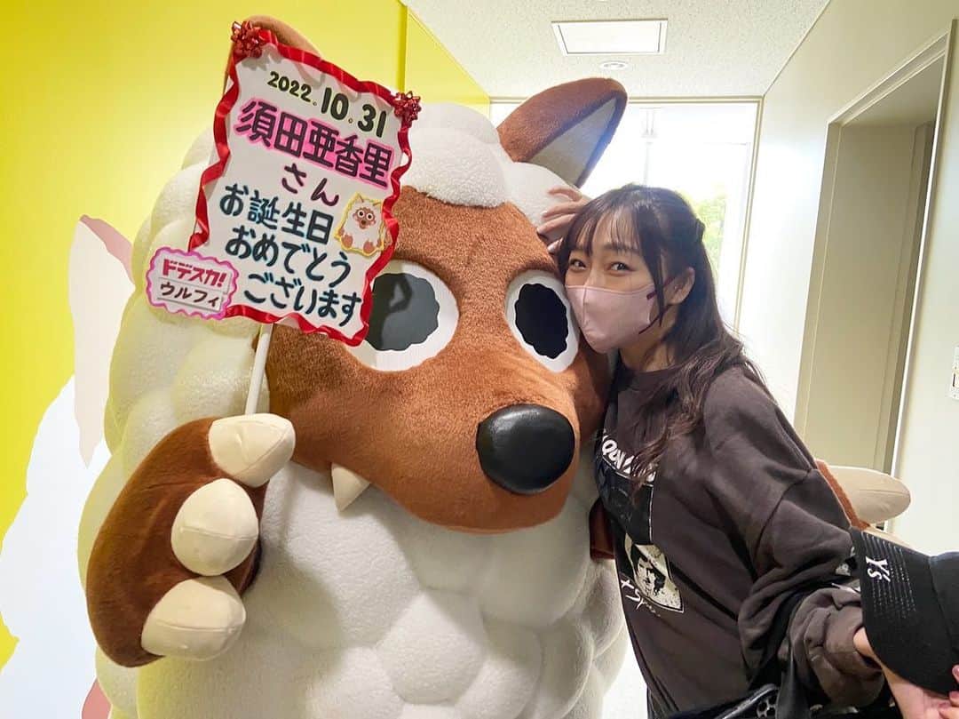 須田亜香里さんのインスタグラム写真 - (須田亜香里Instagram)「SKE48の須田亜香里としては最後のドデスカ。 （次の出演は11月3日） 当初コメンテーターとして不慣れなアイドルの私を使ってくださった勇気ある地元の朝の番組。 地元での総選挙開催時もたくさん背中を押していただきましたし、何年経ってもたくさんのことを学ばせていただくきっかけをくださる温かな番組。本当に感謝しています。  竹田アナが、番組エンディングでサラリと11月1日の卒業公演へのエールをくれて、BGMも私のセンター曲のソーユートコあるよね？が流れるサプライズ。  感激しながらコメント言おうとしたらフロアDさんが番組終了までのカウントダウンを指でやっててめちゃくちゃ焦りました🤣❤️ ドデスカLOVEです🫶 卒業後も東海地方の朝にテレビからパワーを届けられる喜びを噛み締めて頑張りますので、よろしくお願い致します✨  本番終了後はお誕生日もお祝いしていただきました🥹 ありがとうございます！  メ〜テレ #ドデスカ 木曜コメンテーター須田亜香里」10月28日 0時19分 - akarisuda