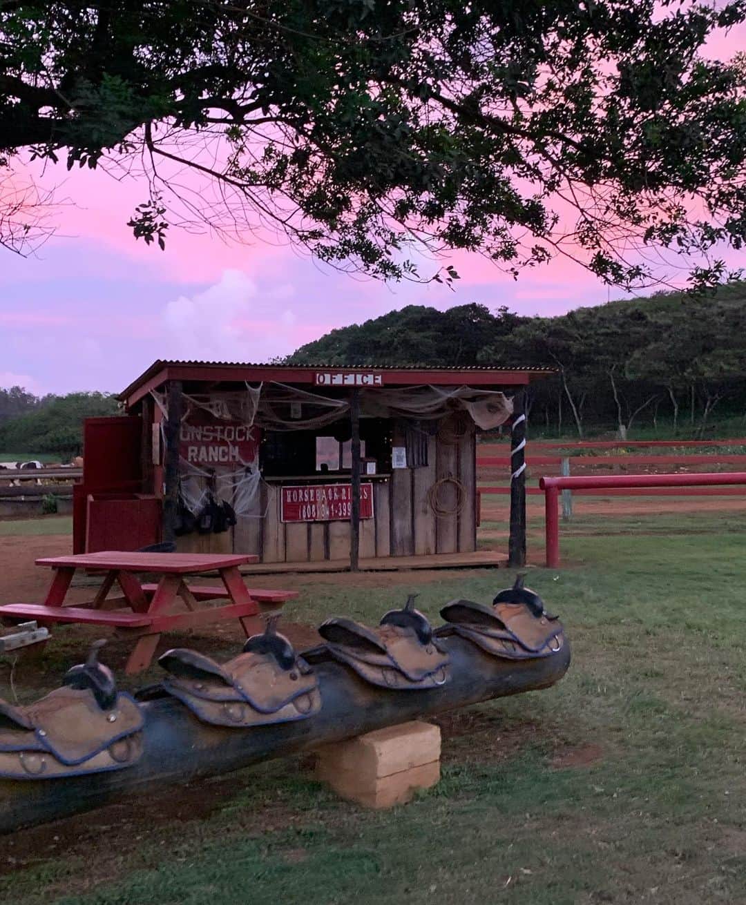 マチルダ・タントットのインスタグラム：「North shore has my heart」