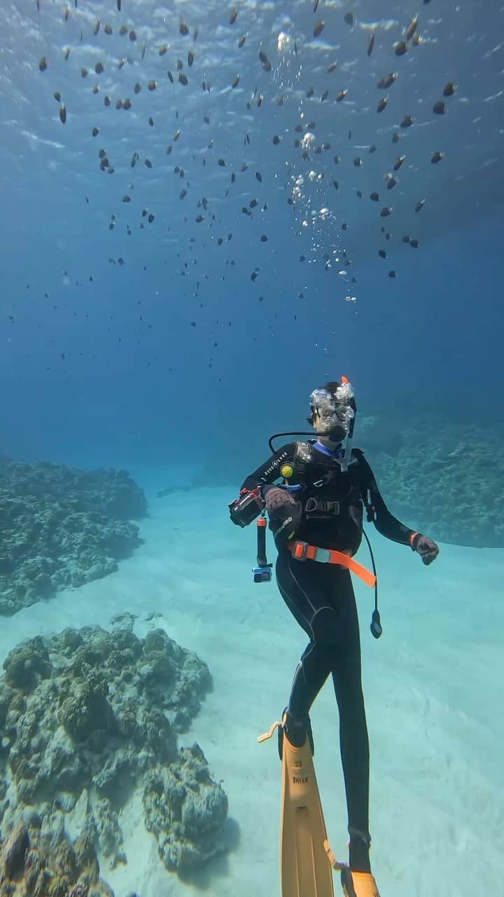 Hikaru Nakamuraのインスタグラム：「スキューバのライセンス取ってきました〜😌  元々一人で行く予定で旅を押さえてたけど 鈴木さんも都合を付けて来てくれました🤿  無事に二人ともPADI OWDをゲット😗  出来る事が広がった 見える世界も広がった  次は何処を冒険しようか😉  #沖縄#慶良間#慶良間諸島#ダイビング#スキューバダイビング#ライセンス#旅#冒険#旅行#海#アンダーザシー」