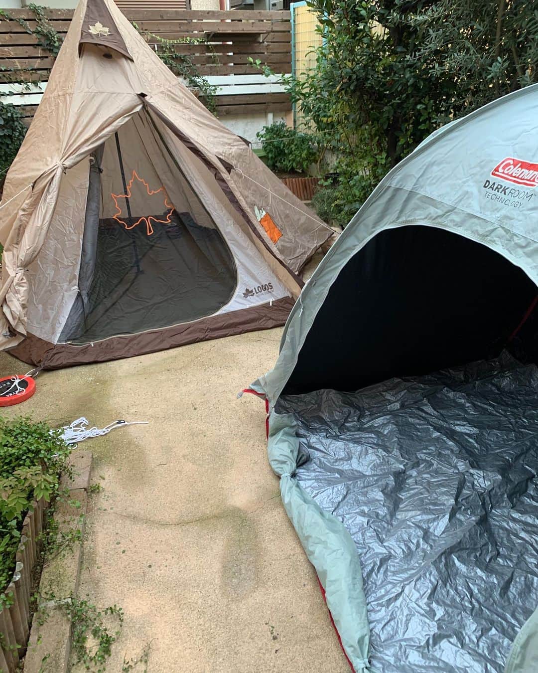 津田篤宏のインスタグラム：「今日は庭で娘ちゃんとキャンプ！ #庭キャンプ」
