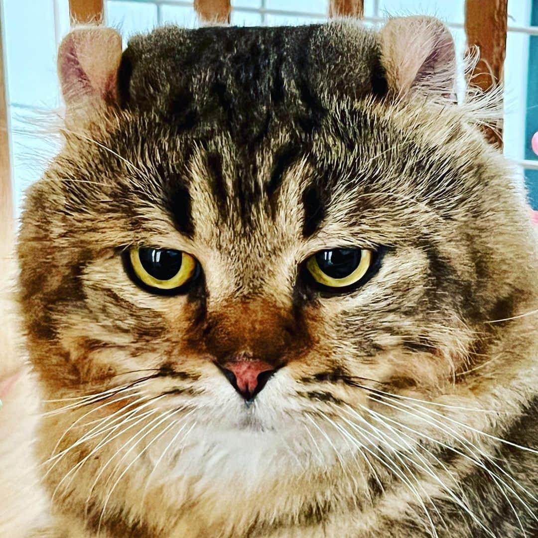 トニー・ジャーのインスタグラム：「Mr.lucky 😂❤️」