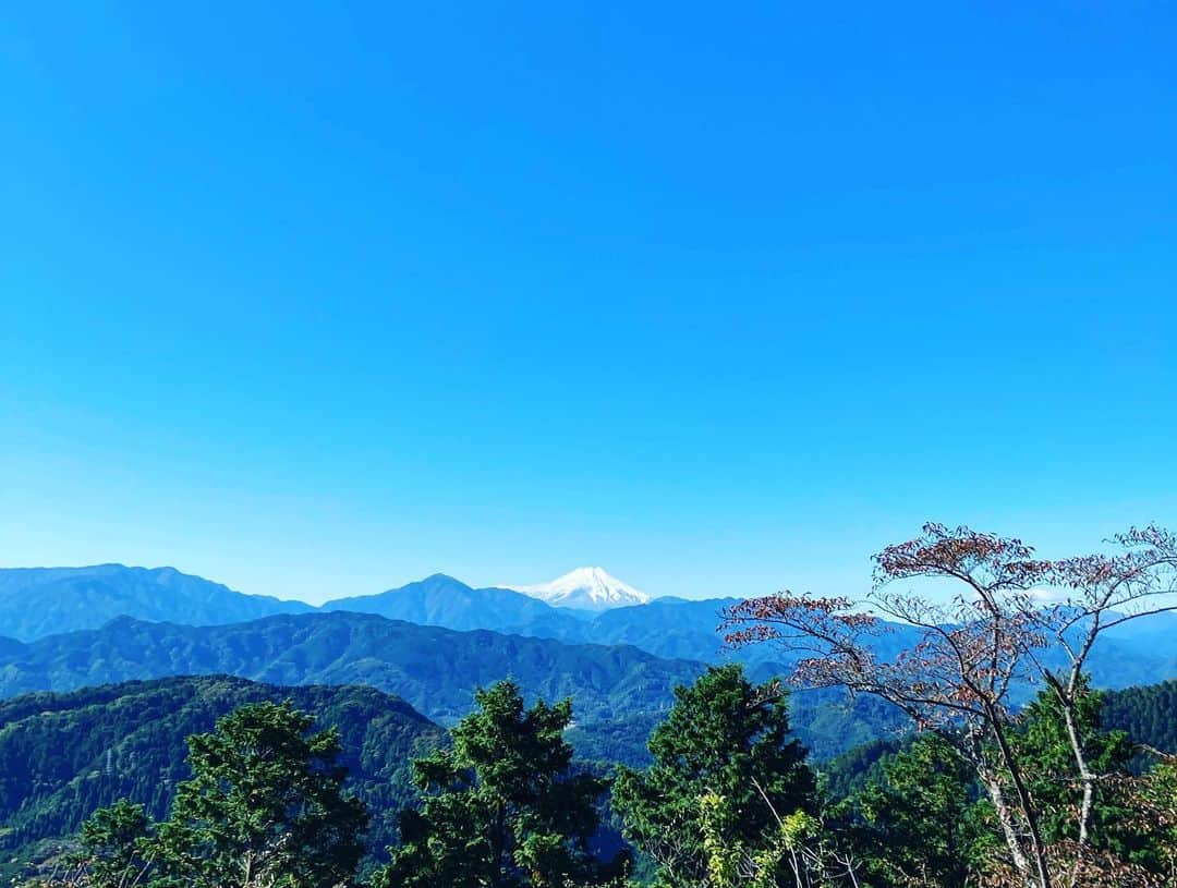 野沢春日さんのインスタグラム写真 - (野沢春日Instagram)「6号路をテクテク。🚶‍♂️  山の空気、美味しかった🏔  #高尾山登山」10月28日 14時59分 - nozawa_haruhi