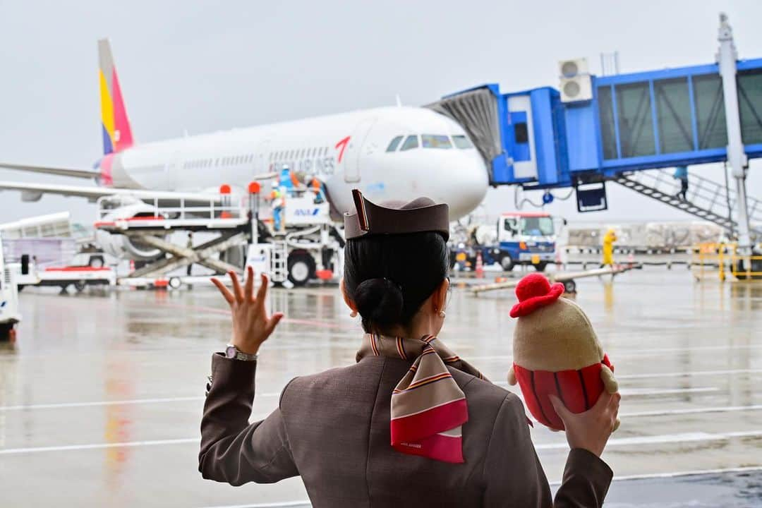 アシアナ航空日本地域公式アカウントのインスタグラム