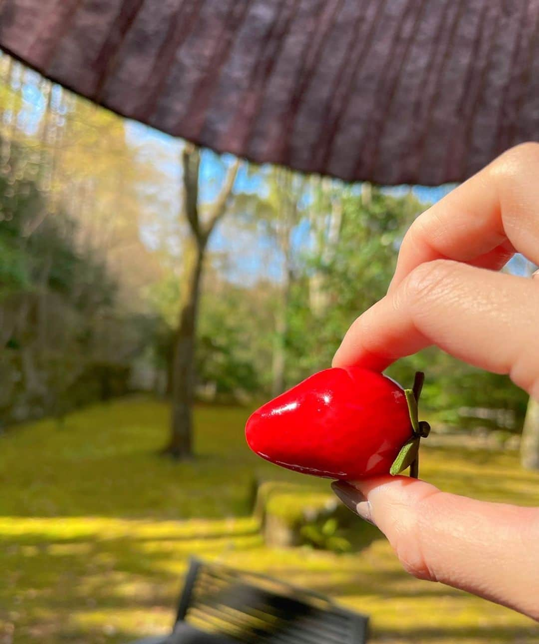 小澤陽子さんのインスタグラム写真 - (小澤陽子Instagram)「𝚒𝚗 𝚙𝚛𝚒𝚟𝚊𝚝𝚎❁  Feeling 京都…🌿  今夜は、全力！脱力タイムズです🌠  本日のイット！ご覧いただいた皆様も ありがとうございました🐳🐚  #共通点『！』 #金曜夜のフジテレビ #全力脱力タイムズ #イット #金曜エンタ」10月28日 21時11分 - yoko.ozawa729