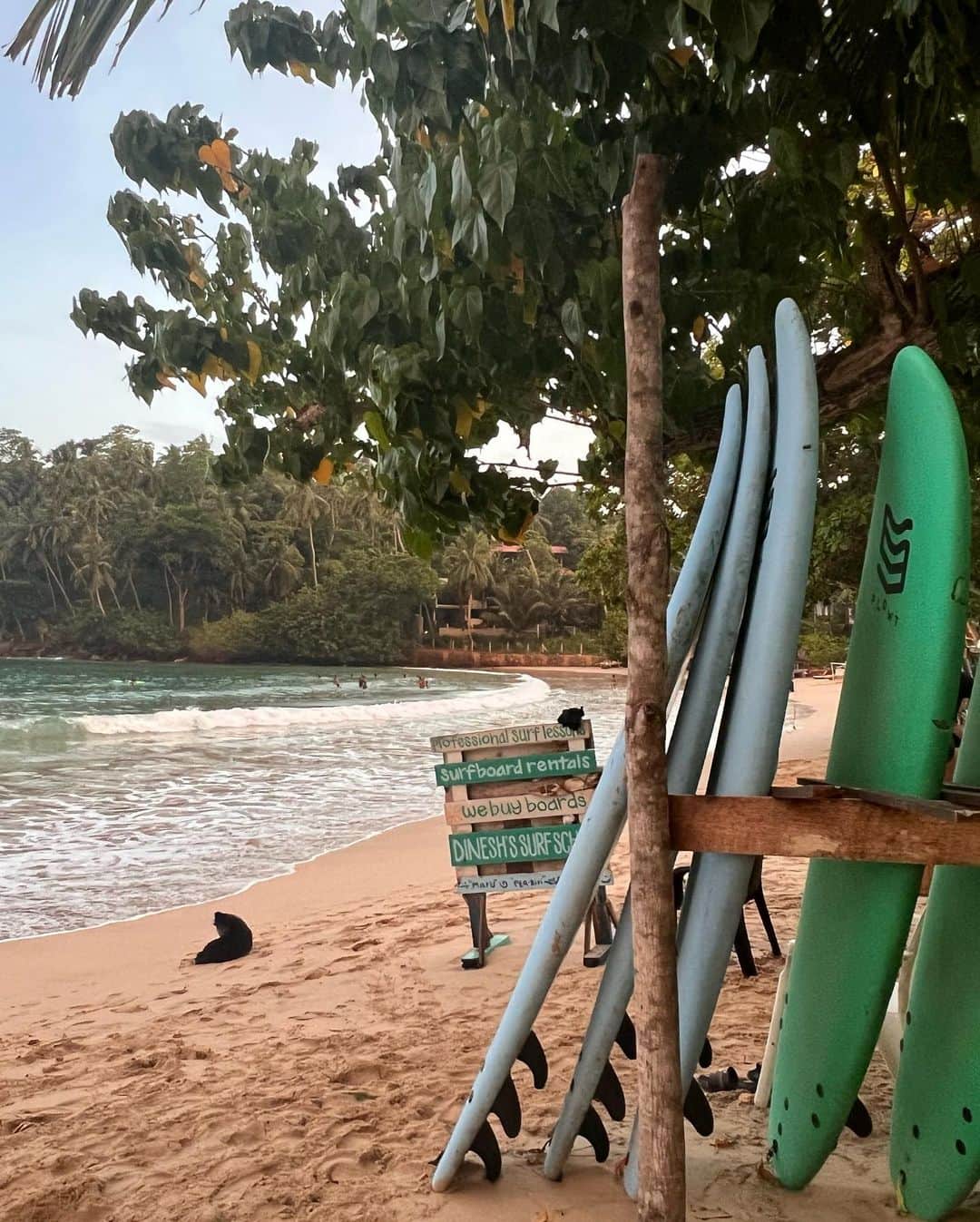 フィービー・ダールさんのインスタグラム写真 - (フィービー・ダールInstagram)「A little surf trip to Sri Lanka earlier this year. I finally found a sport that I LOVE and something to get me up in the mornings! 💤☀️ Up and in the water every morning at 6am for a few hours - beach all day - then back in for a sunset surf. It was heaven!」10月28日 22時48分 - phoebe