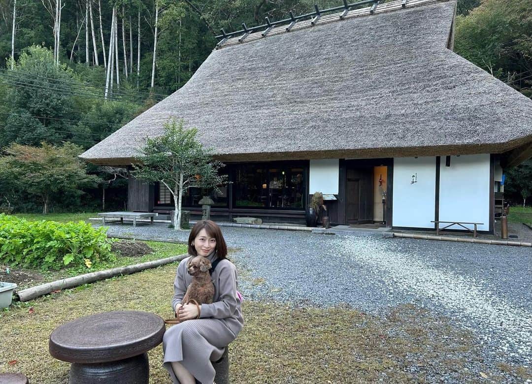 藤咲えりのインスタグラム：「お犬様孝行。 ずっとバタバタしてて存分に構ってあげられなかったので、お犬様孝行に勤しみます。と言いつつ私が癒されてます。  「やまゆ」さんに伺いました。こちらのお稲荷さんが食べたくて食べたくて。  #トイプードル#丹波篠山」