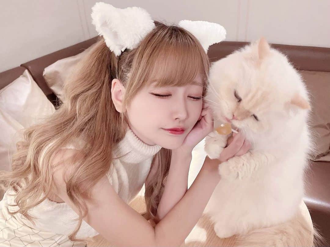 さきぼんのインスタグラム：「こないだ空き時間に @mocha.sinjyuku に行ってきたよ～🐱🎶  おやつアイスで無双した👍🏻 猫耳沢山置いてあってつけれるからハロウィンにもいいね(｡・‧̫・｡)ｏ🪄  短時間でもめちゃくちゃ癒されたしアクセス良かったからまた絶対いく( ߹꒳​߹ )  #猫カフェmocha #猫カフェモカ #猫カフェ #PR #新宿猫カフェ #新宿カフェ」