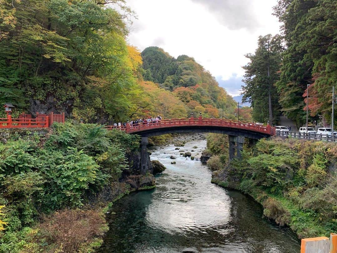 大高伽弥さんのインスタグラム写真 - (大高伽弥Instagram)「母と日帰りで日光東照宮へ⛩  親孝行できているか分からないけど、楽しんでもらえたようでなにより😊  綺麗な景色をたくさん見れて幸せでした✨ もっと写真撮るの上手くなりたいな〜！  良い休日でした。  #日光東照宮 #栃木 #紅葉 #日帰りドライブ #休日の過ごし方」10月29日 19時41分 - kayaowl