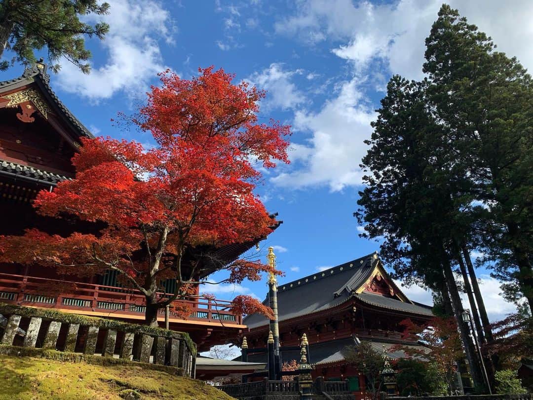 大高伽弥のインスタグラム：「母と日帰りで日光東照宮へ⛩  親孝行できているか分からないけど、楽しんでもらえたようでなにより😊  綺麗な景色をたくさん見れて幸せでした✨ もっと写真撮るの上手くなりたいな〜！  良い休日でした。  #日光東照宮 #栃木 #紅葉 #日帰りドライブ #休日の過ごし方」