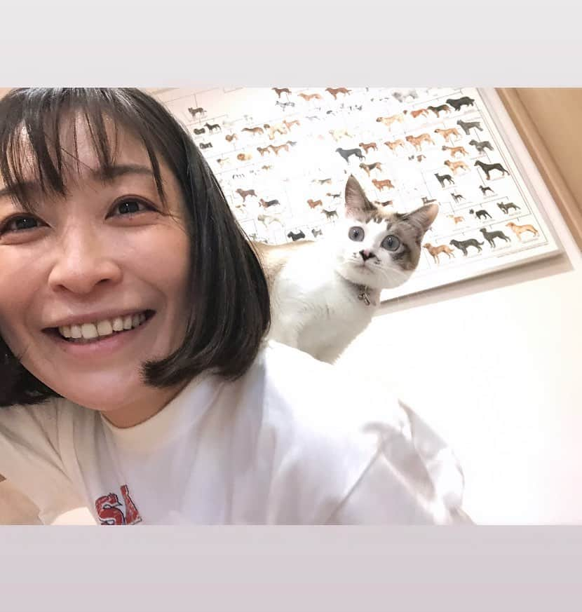 小野真弓のインスタグラム