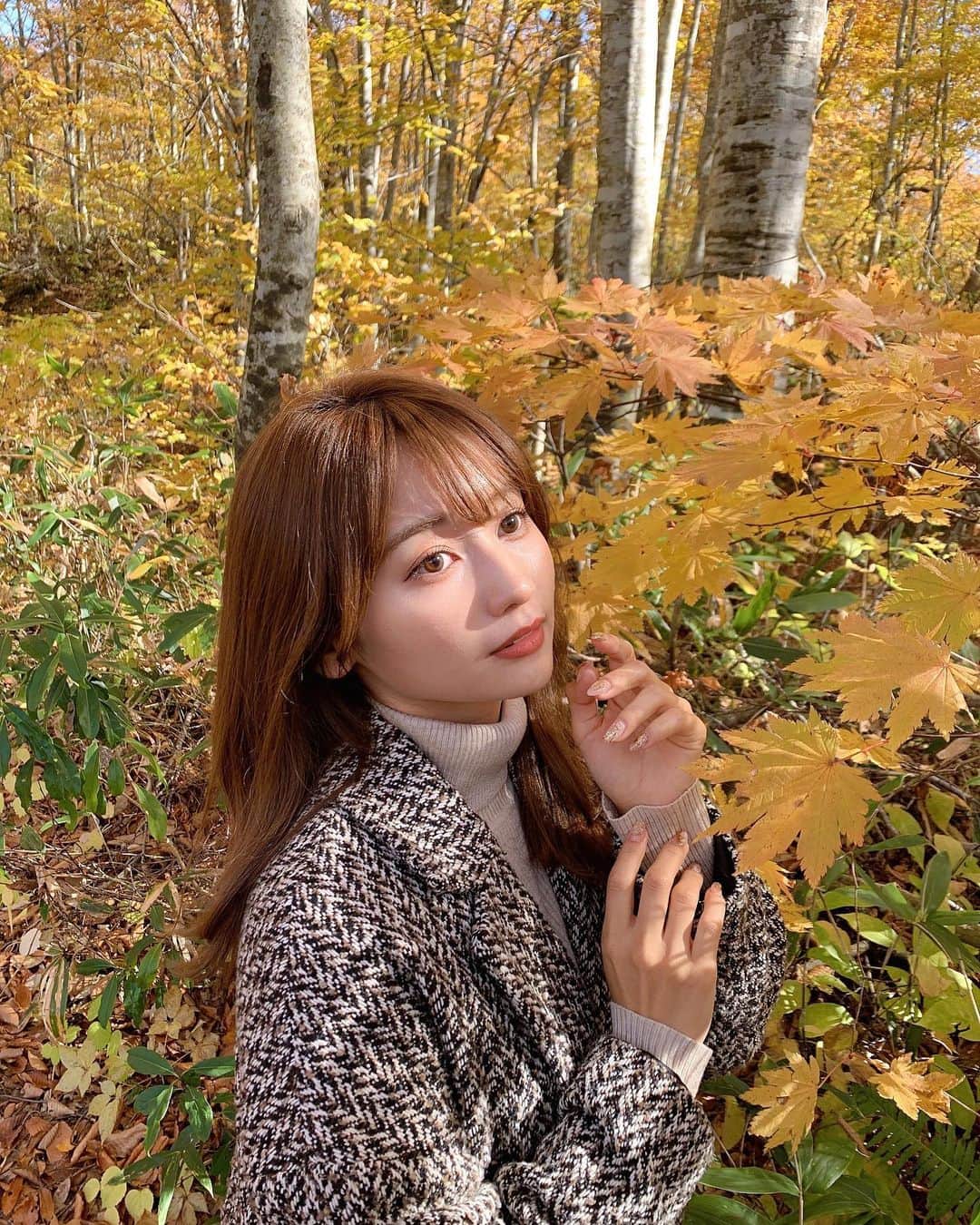 細沼紗花のインスタグラム：「.  長野や新潟県では もう紅葉が素晴らしく綺麗な時期でした🍁  秋仕様にもえかさんにしていただいたネイルも しっかり映えた💭 お爪が可愛いと気分も上がるの  thanks a lot♡ @chipieee_nail_moeka   . #鎌池#長野観光#新潟観光 #ネイル#秋ネイル#ニュアンスネイル #chipieee#chipieeenail#nails #おすすめネイルサロン」