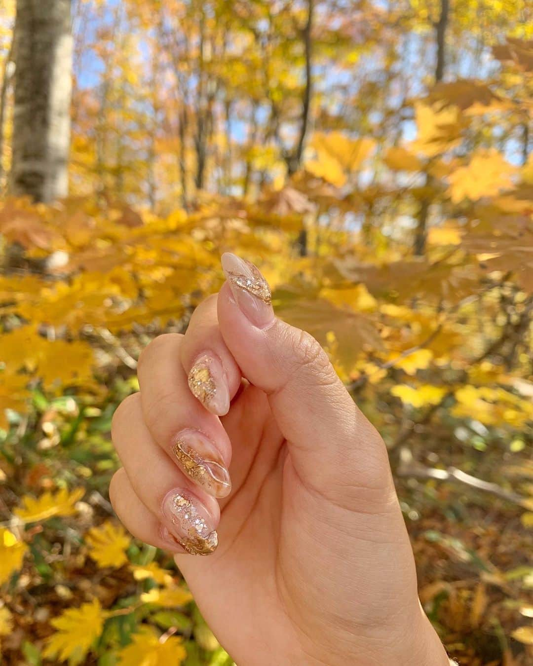 細沼紗花さんのインスタグラム写真 - (細沼紗花Instagram)「.  長野や新潟県では もう紅葉が素晴らしく綺麗な時期でした🍁  秋仕様にもえかさんにしていただいたネイルも しっかり映えた💭 お爪が可愛いと気分も上がるの  thanks a lot♡ @chipieee_nail_moeka   . #鎌池#長野観光#新潟観光 #ネイル#秋ネイル#ニュアンスネイル #chipieee#chipieeenail#nails #おすすめネイルサロン」10月29日 18時02分 - sayaka_hosonuma