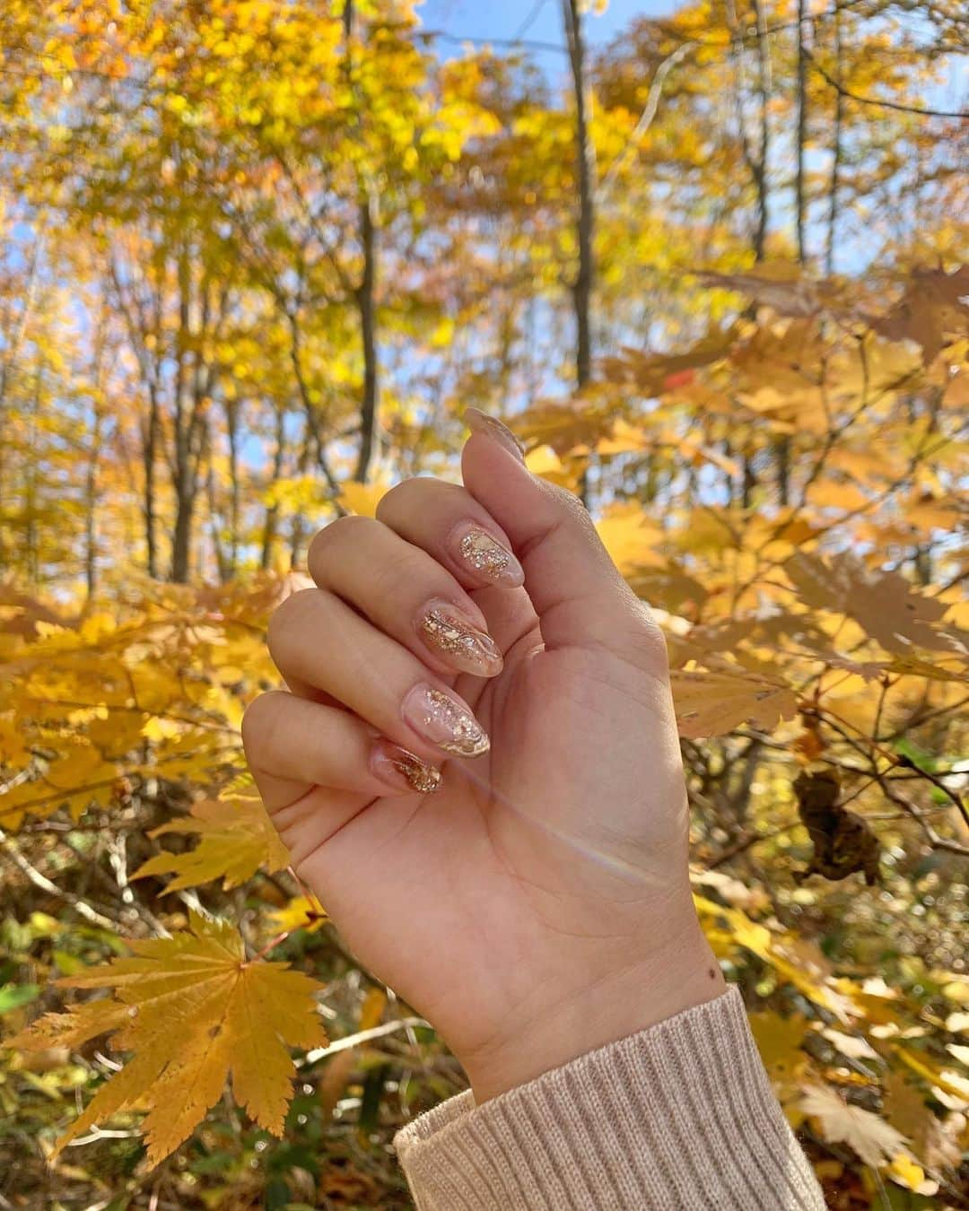 細沼紗花さんのインスタグラム写真 - (細沼紗花Instagram)「.  長野や新潟県では もう紅葉が素晴らしく綺麗な時期でした🍁  秋仕様にもえかさんにしていただいたネイルも しっかり映えた💭 お爪が可愛いと気分も上がるの  thanks a lot♡ @chipieee_nail_moeka   . #鎌池#長野観光#新潟観光 #ネイル#秋ネイル#ニュアンスネイル #chipieee#chipieeenail#nails #おすすめネイルサロン」10月29日 18時02分 - sayaka_hosonuma