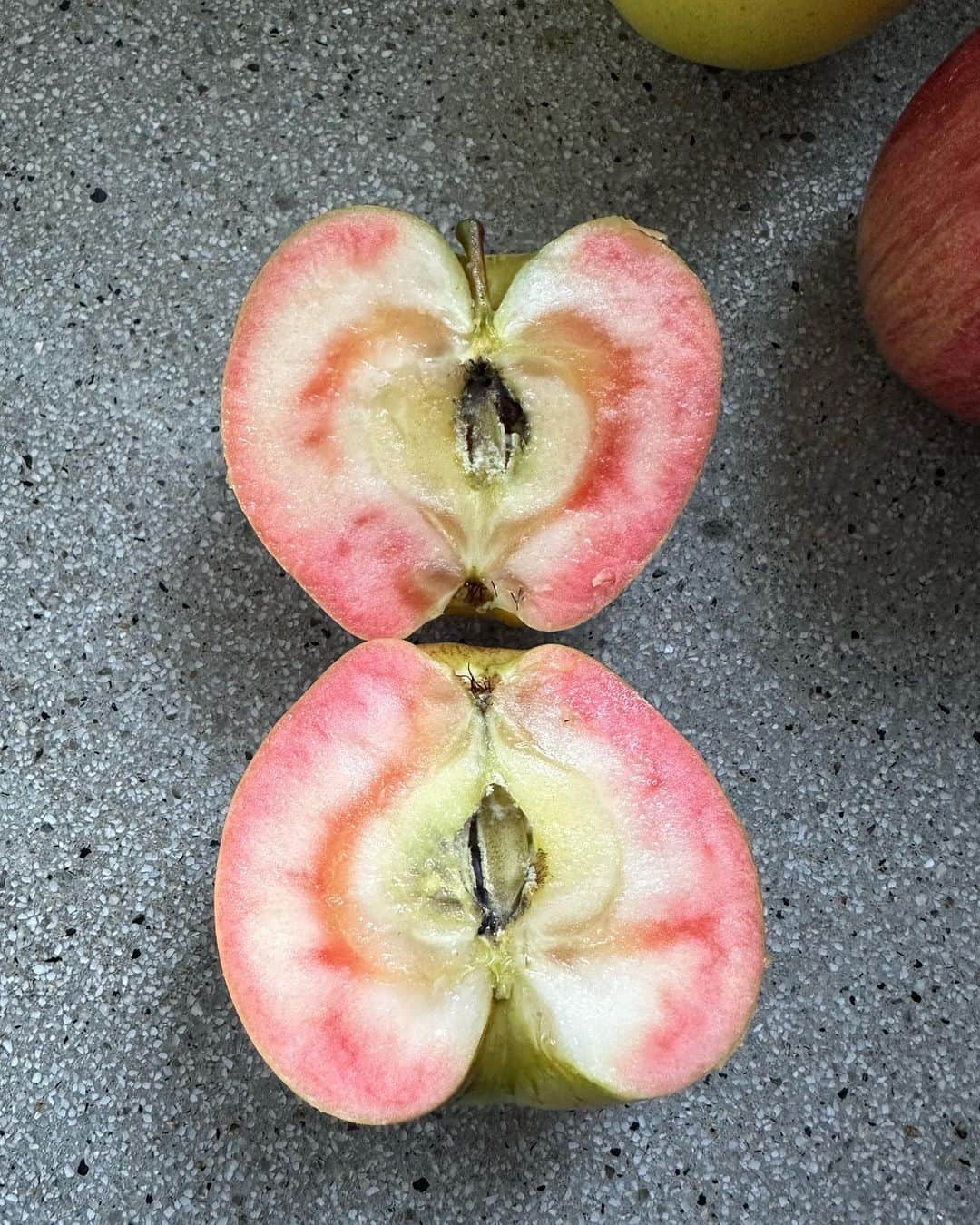 風間ゆみえのインスタグラム：「ありがとう🍎  #栄養補給」