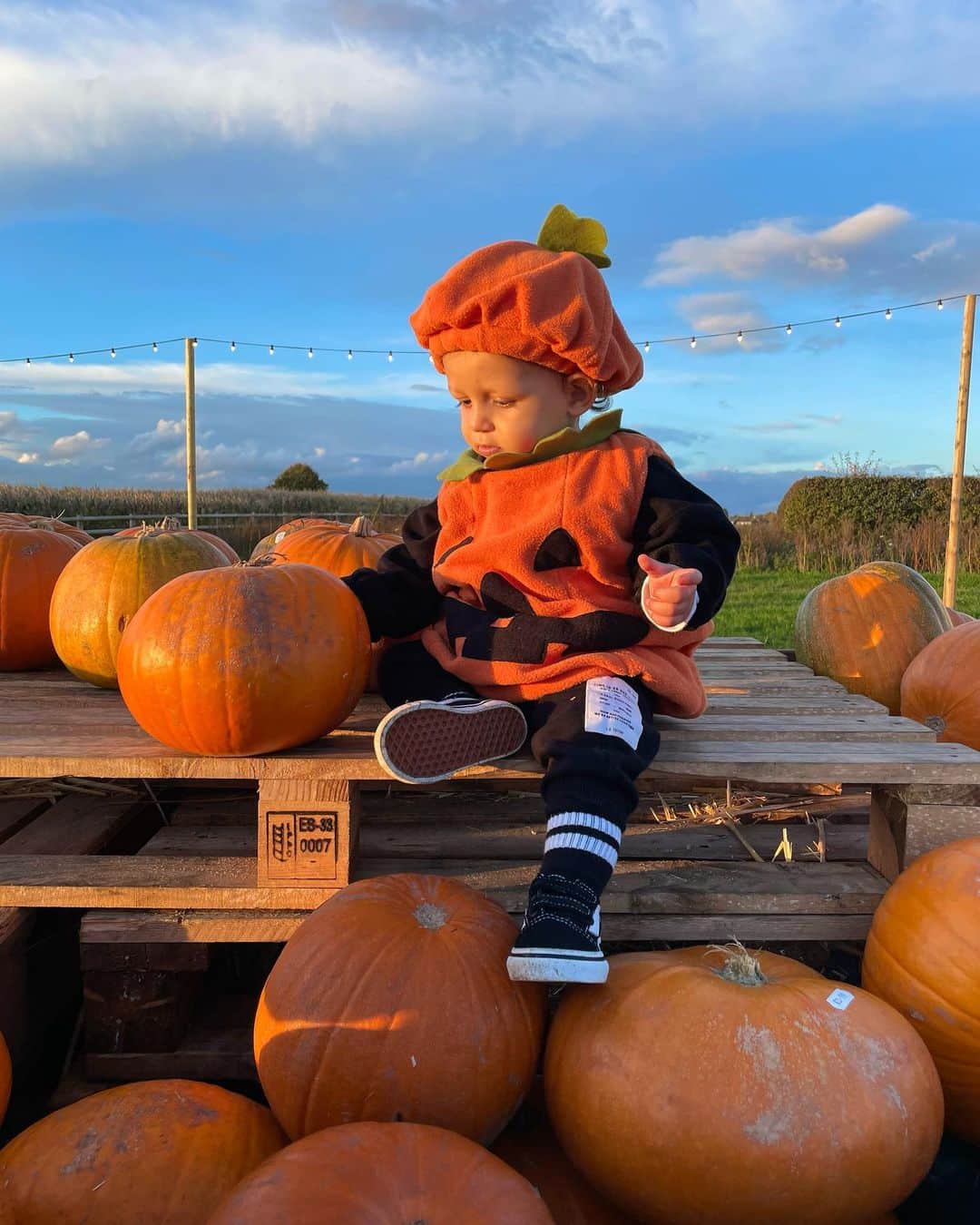 ペリー・エドワーズさんのインスタグラム写真 - (ペリー・エドワーズInstagram)「Pumpkin patch with our icle Pumpkin 🎃🥹」10月29日 22時39分 - perrieedwards