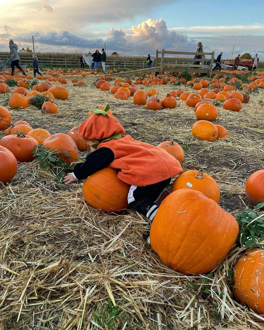 ペリー・エドワーズさんのインスタグラム写真 - (ペリー・エドワーズInstagram)「Pumpkin patch with our icle Pumpkin 🎃🥹」10月29日 22時39分 - perrieedwards