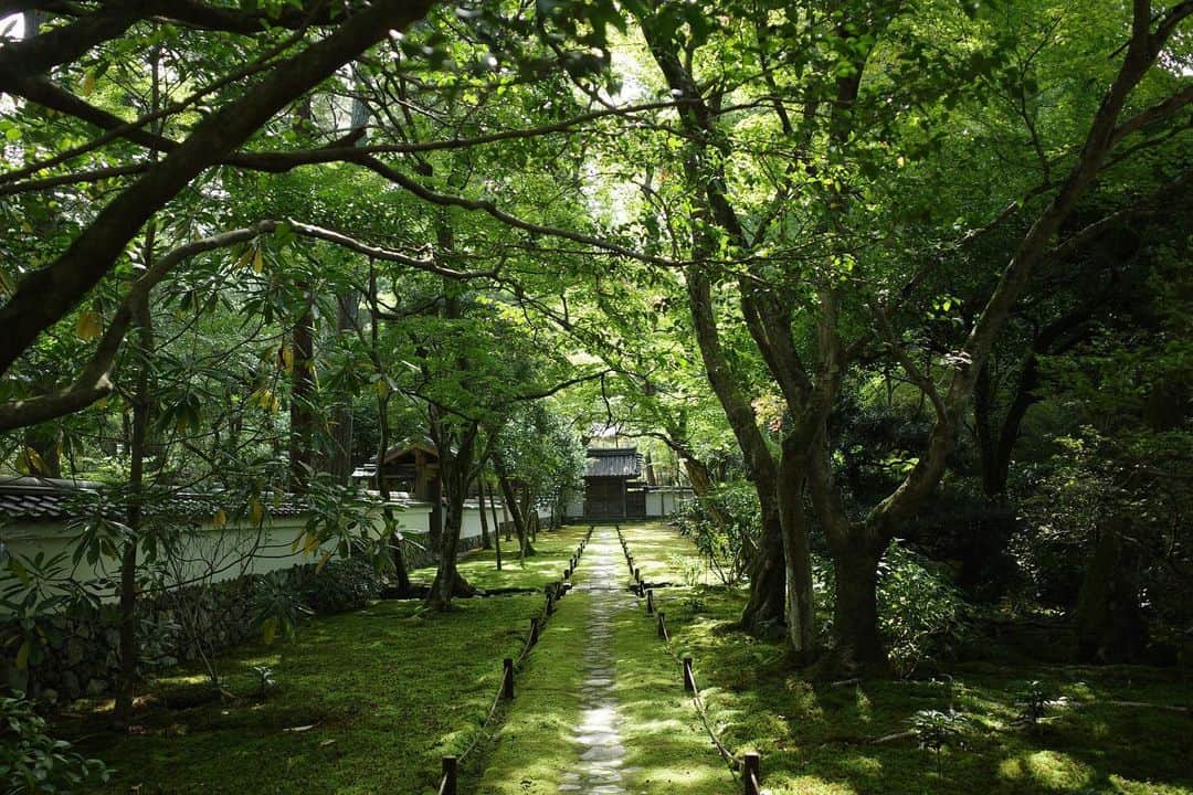 佐藤義朗さんのインスタグラム写真 - (佐藤義朗Instagram)「. 西芳寺 @saihoji_daily  通称、苔寺へ。  清々しく、神秘的。 1200年繋がれてきた歴史と自然の美しさ。 なんとも奥深い空間でした。  #京都 #西芳寺 #苔寺  #ricohgr3」10月29日 22時42分 - yoshiaki_sato11