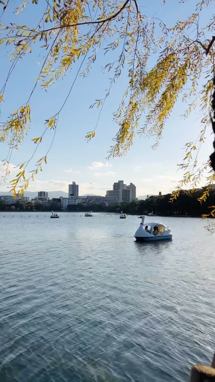 ToriChyanChannelのインスタグラム：「Autumn Ohori Park 🍂  Охори парк - оазис в центре города Фукуока, приятный для посещения в любой сезон! Но осенью тут особенно волшебно 🍁  #福岡 #福岡移住 #福岡観光 #fukuoka #fukuokareel_autumn」
