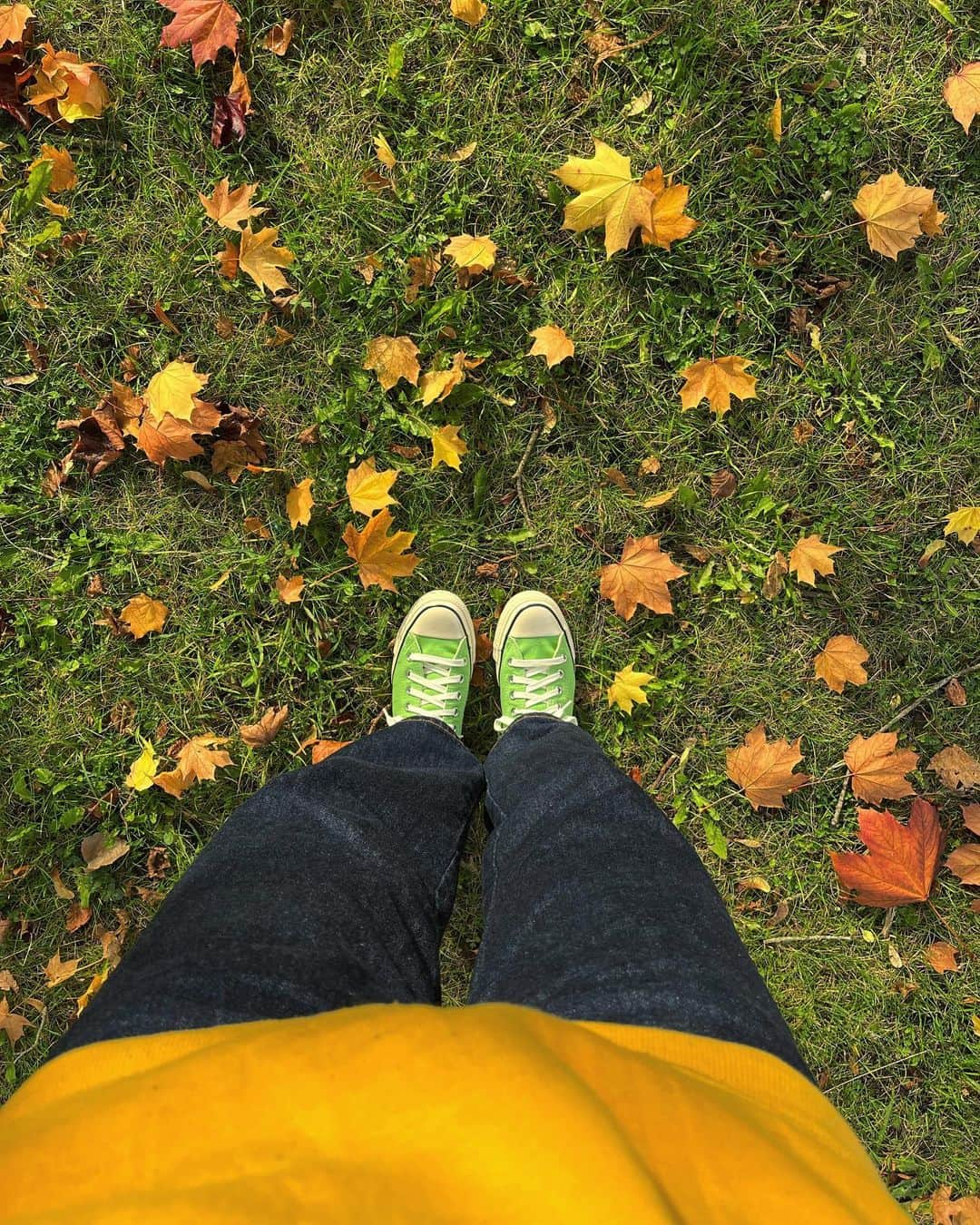 剱持クリアのインスタグラム：「🍁🍂🍃🌝」