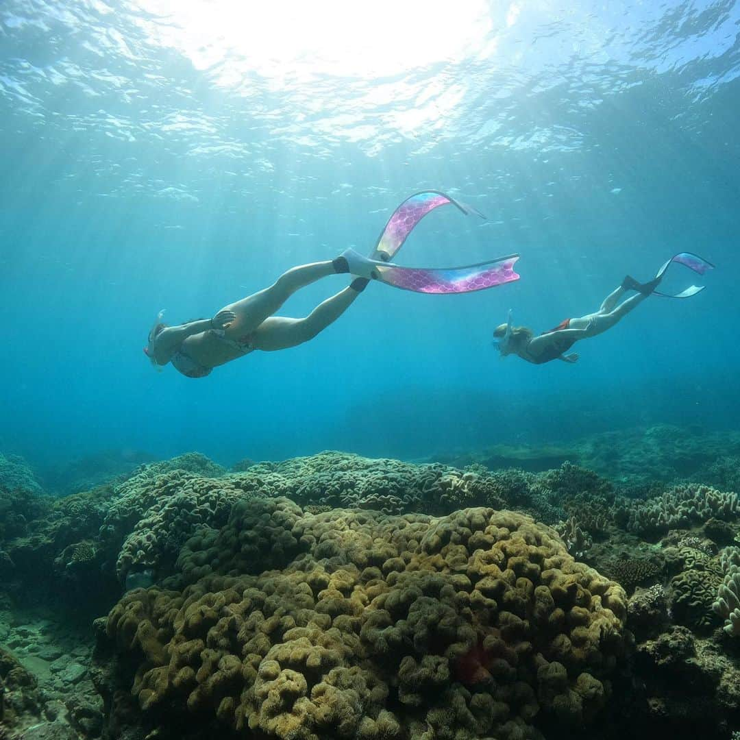 原つむぎさんのインスタグラム写真 - (原つむぎInstagram)「Under The Sea💙  #diving #skindiving #diver #openwater」10月30日 10時07分 - haratsumugi