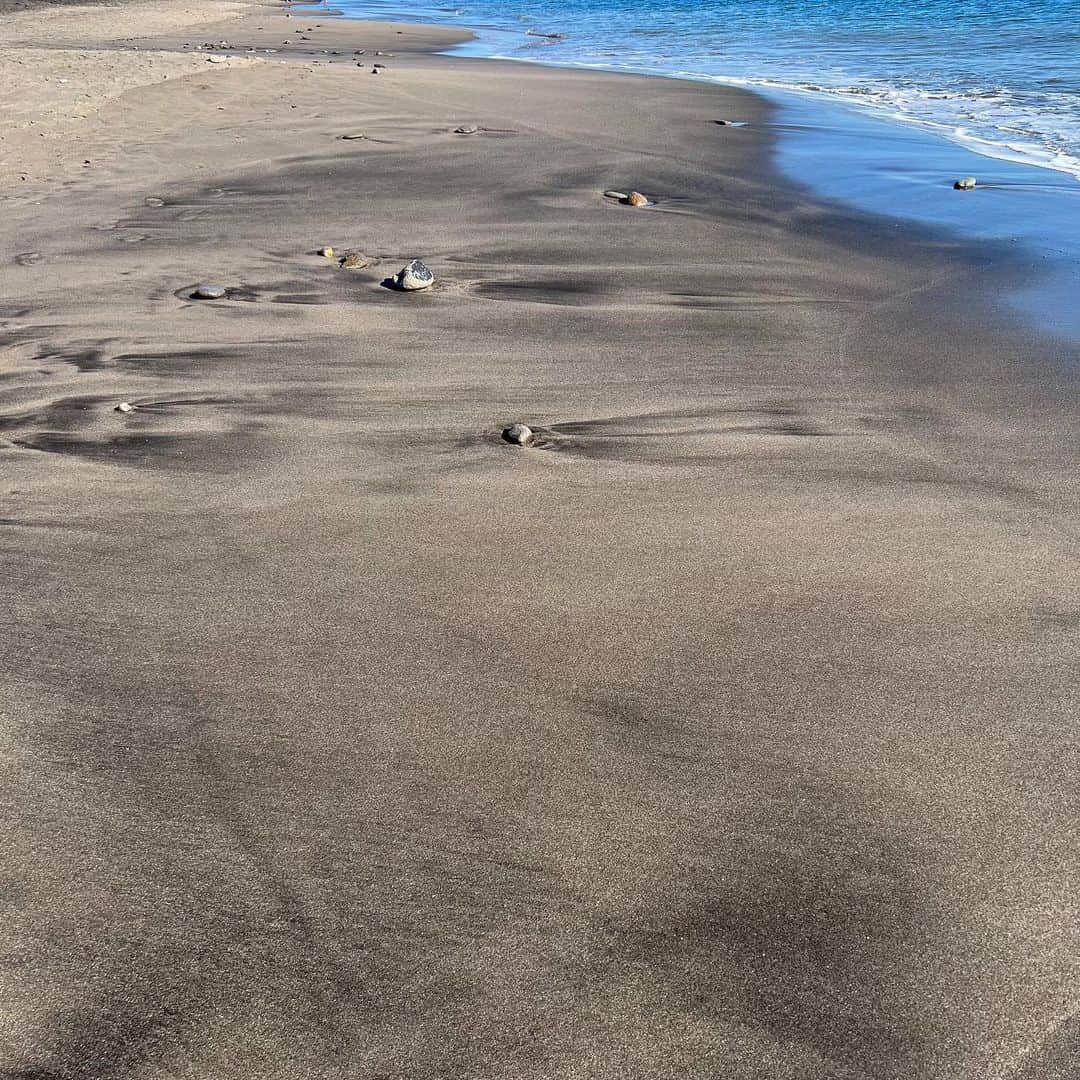 羽田沙織さんのインスタグラム写真 - (羽田沙織Instagram)「平日、娘は学校、私はお休みという滅多にないタイミングで、鎌倉ランチへ。 私の鎌倉好きは祖母譲り。 いつかここに住みたいと思っている。 絶好の秋晴れの良い日だった！  #鎌倉ぶらり旅 #鎌倉 #鎌倉ランチ #海のある生活 #海の見えるレストラン #長谷寺 #大仏 #art #artlover #アート #アートのある暮らし」10月30日 10時56分 - saorihada