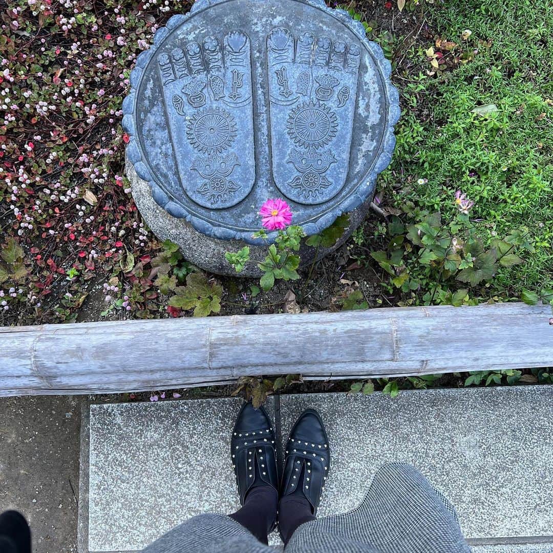 羽田沙織さんのインスタグラム写真 - (羽田沙織Instagram)「平日、娘は学校、私はお休みという滅多にないタイミングで、鎌倉ランチへ。 私の鎌倉好きは祖母譲り。 いつかここに住みたいと思っている。 絶好の秋晴れの良い日だった！  #鎌倉ぶらり旅 #鎌倉 #鎌倉ランチ #海のある生活 #海の見えるレストラン #長谷寺 #大仏 #art #artlover #アート #アートのある暮らし」10月30日 10時56分 - saorihada