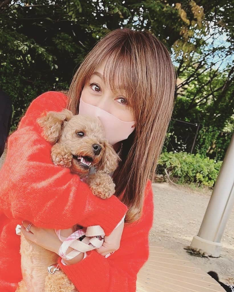 渡辺美奈代さんのインスタグラム写真 - (渡辺美奈代Instagram)「ドッグラン  #saのドッグラン  #お友達いっぱい #わんことお出かけ  #ちょっと休憩」10月30日 23時25分 - watanabe_minayo