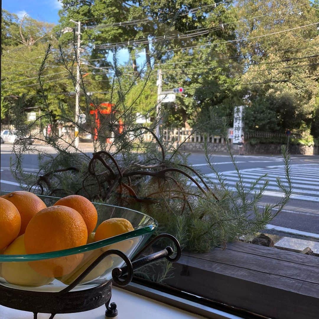 吉井明子さんのインスタグラム写真 - (吉井明子Instagram)「🍎🍮🍈  9月に京都へ行ったときの食いしん坊備忘録☺︎ @cricket_kyoto  フルーツパーラークリケットさんで プリンアラモード♡  東京の百貨店での催事ではフルーツサンドとグレープフルーツゼリーを必ず買うし、お取り寄せも時々する大好きなお店。  お店でしか食べられないメニューをと選んだら、フルーツの美味しさはもちろんプリンもとても美味しかった🍮  #フルーツパーラークリケット #cricket #プリンアラモード #🍮 #カフェ #平野神社 #京都 #kyoto #japan #京都旅 #travel #travelphotography #trip #オフショット #ワンピース #明さんぽ #気象予報士 #気象キャスター #weatherforecaster #기상캐스터　#氣象主播 #吉井明子  #smile #微笑 #미소　#senyum」10月30日 16時18分 - akiko_yoshii_sunny_rain