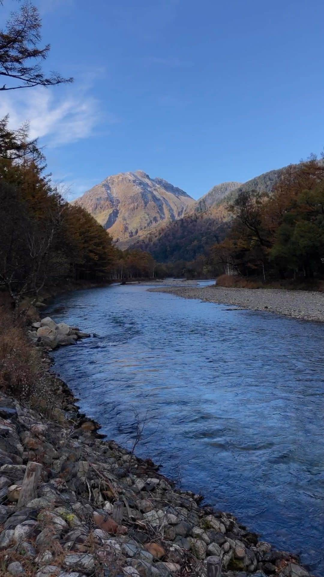 鮎川桃果のインスタグラム