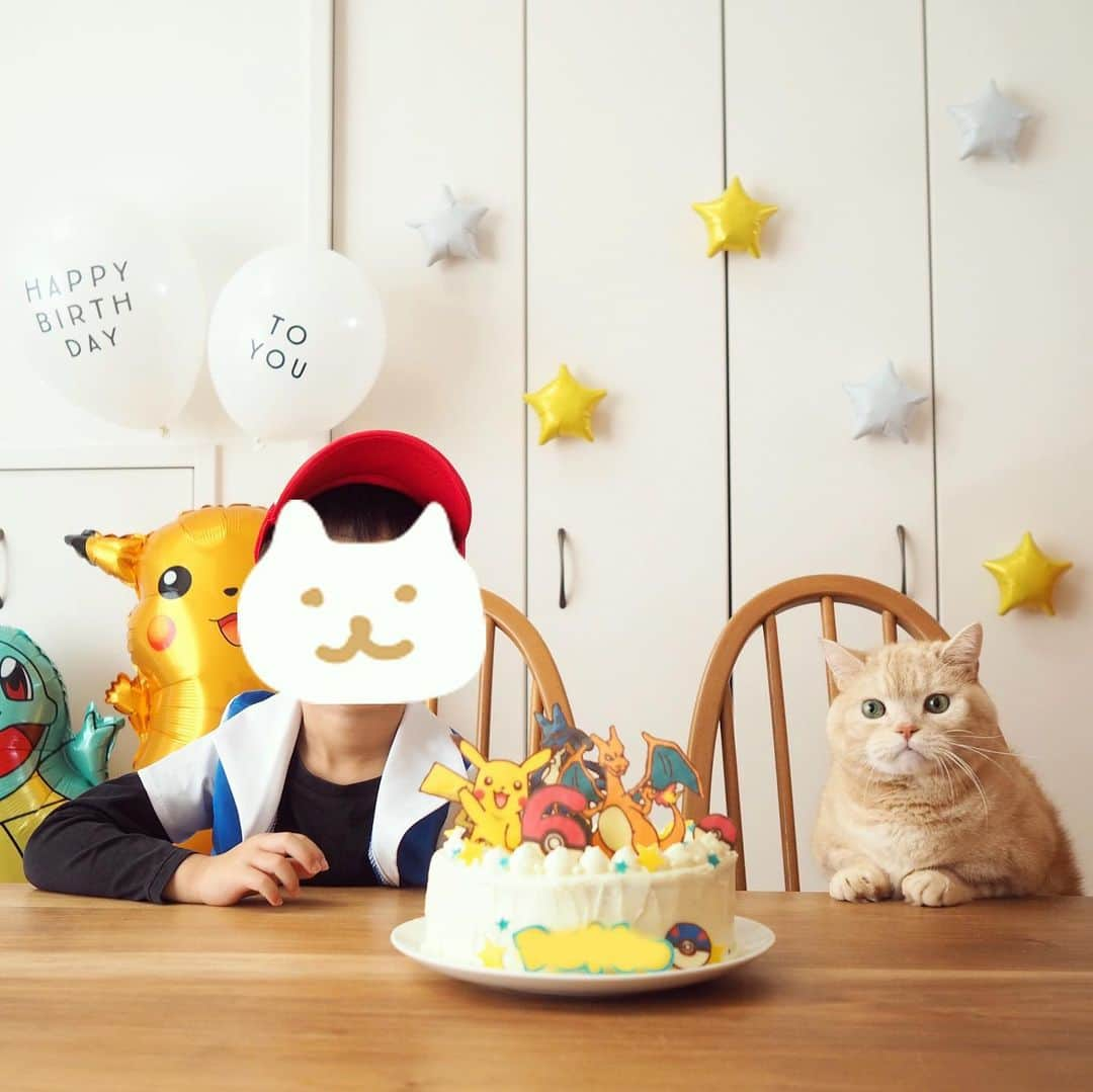 ぷーのインスタグラム：「弟、先日６歳になりました🎂⭐️ . #6歳誕生日  #息子とぷーちゃん🐈 . #happybirthday #ポケモンケーキ #ピカチュウ #リザードン #ルカリオ #ポケモンマスター #ルカリオが1番大変だった🍫 . ぷーちゃん、弟には大分心を許してます🐾 .」