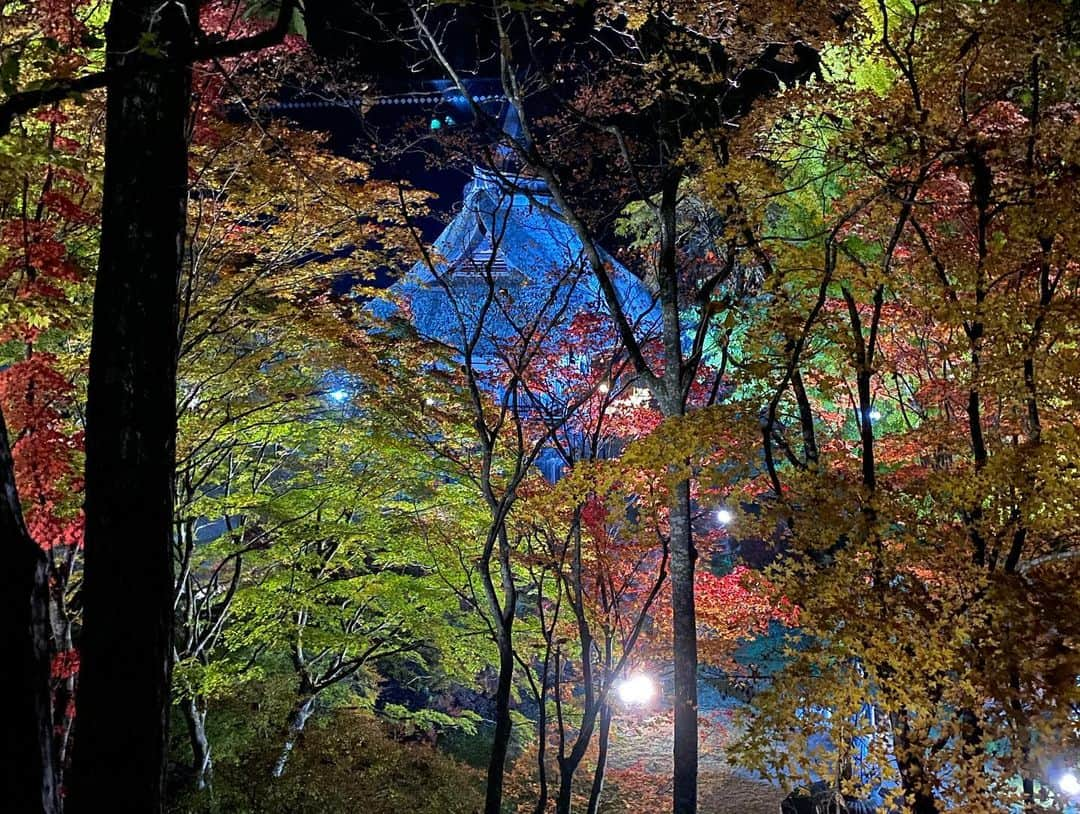 Larry さんのインスタグラム写真 - (Larry Instagram)「『霊松寺紅葉ライトアップ』 幽玄の美(知らんけど) 落ち着くなー #大町市」10月30日 18時54分 - larry_futamure